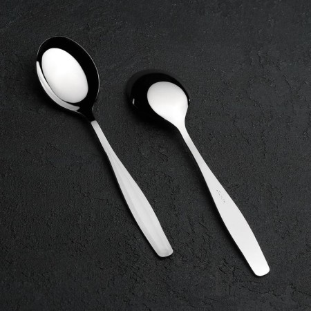 Spoon table "visit", thickness 2 mm, silver color