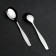 Spoon table "visit", thickness 2 mm, silver color