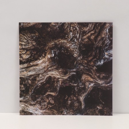 Photophone bilateral cardboard density 350 g "Earth" 50x50 cm-3