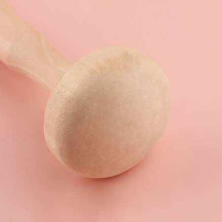 Typok fungus, d = 5 cm, 11.5 cm-1