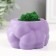 Concrete Kashpo "Bubbles" with moss purple 8x8x5cm (moss green stabilized)