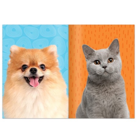 Book with stickers "Decorate the pet", 12 pp., 55 stickers-1