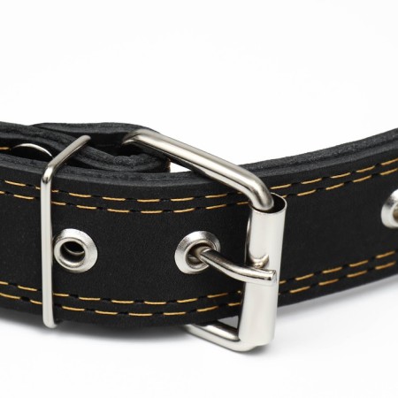 Collar leather two-layer dimensionless, 69 x 3.5 cm, Osh 45-60 cm, black-2