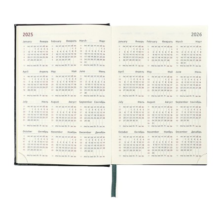 Dated diary 2024 A5 176 sheets, Devente.symbol, firm artificial leather cover, stamping foil, lies, cream block 70 g/m2, green-9