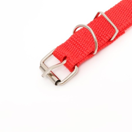 Animal collar-4