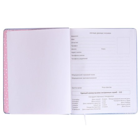 Universal diary for grade 1-11 STAY Chic, hard cover, artificial leather, foam rubber, lies, 80 g/m2-3