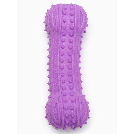 Chewing toy "chubby bone", tpr, 12.8 cm, purple-1