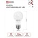LED lamp In Home LED-A60-VC, E27, 10 W, 230 V, 6500 K, 950 lm