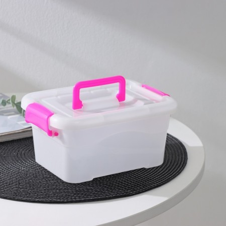 Storage container "Diplomat", 20.5 × 15 × 9.5 cm, cover with a handle on the latch, color mix