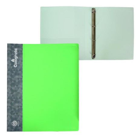 Folder on 4 rings A4, Calligrata, 25 mm, 700 μm, inner pocket, pocket for a spine, light green