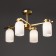 Suspended lamp Freya Fr5446PL-04BS1 Kamelia, 550x400x290 mm, E14, 4x40W, brass color