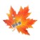 Decoration on the adhesive tape "Maple leaf" Red, 18x18 cm