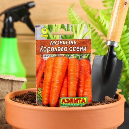 Carrots "Queen of Autumn" "Leader", 2 g,