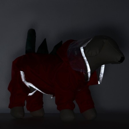Dogs "Dragneos", demi-season, size M (ds 30, og 40, weight 5-7 kg)-12