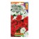 Stone flowers strawberries with cream F1 large -flowered ampel, mixture of color, 10