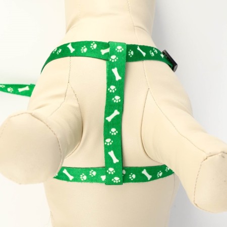 Kapron "Bones and Paws" kit, leash 120 x 1.5 cm, og 30-44 cm, green-4
