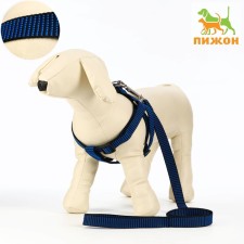 Acunition set is embossed, leash 120 x 2 cm, og 44-50 cm, blue-black