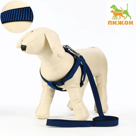 Acunition set is embossed, leash 120 x 2 cm, og 44-50 cm, blue-black