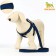 Acunition set is embossed, leash 120 x 2 cm, og 44-50 cm, blue-black