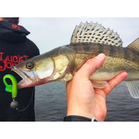 Vibro -ligs edible LJ Pro Series Minnow 5.5in (13.90)/T18 4pcs.-3