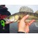 Vibro -ligs edible LJ Pro Series Minnow 5.5in (13.90)/T18 4pcs.