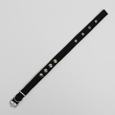 Animal collar-2