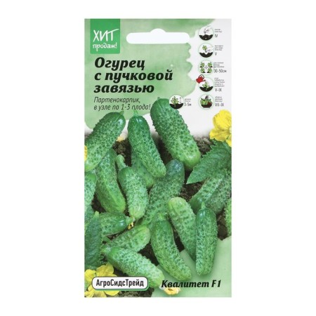Seeds of cucumber "Kalitet", 5 pcs