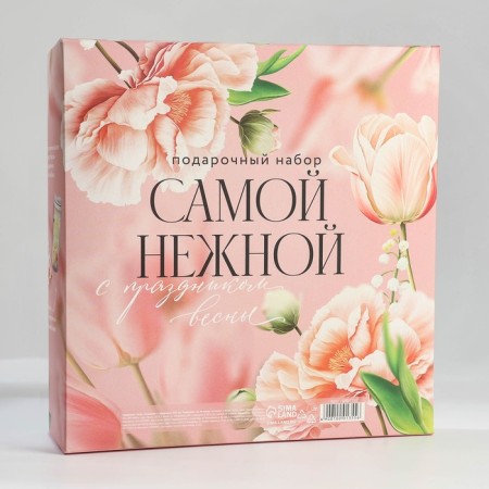 Gift set A5 Diary, 80 liters. and thermostatic 350 ml "since March 8"-9