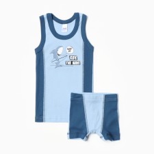 A set for a boy (T -shirt, panties), blue color, height 104 cm
