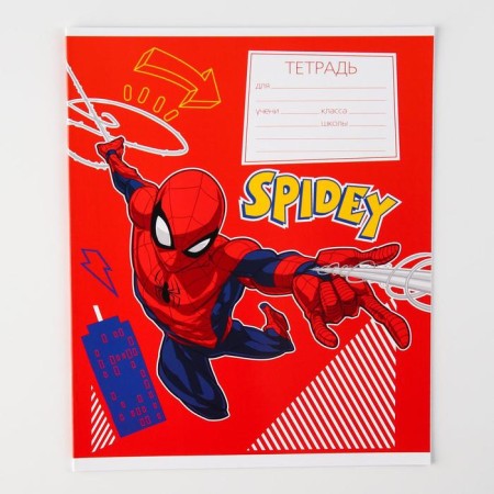 Notebook in a cage 12 sheets, 5 types of mix, cover coated cardboard, spider-man-3