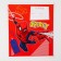Notebook in a cage 12 sheets, 5 types of mix, cover coated cardboard, spider-man