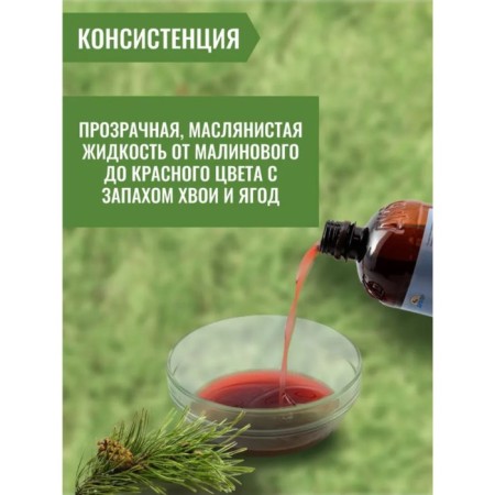 Additive with coniferous concentrate, for feed, 900 ml, Aibolit-4