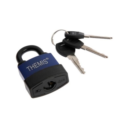 The castle is hinged, 45 mm, a copper cylinder, moisture -proof, short handle, 3 keys mix