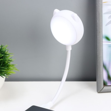 Night -night "cat" LED 2W USB white 13.5x8.5x30 cm Risalux