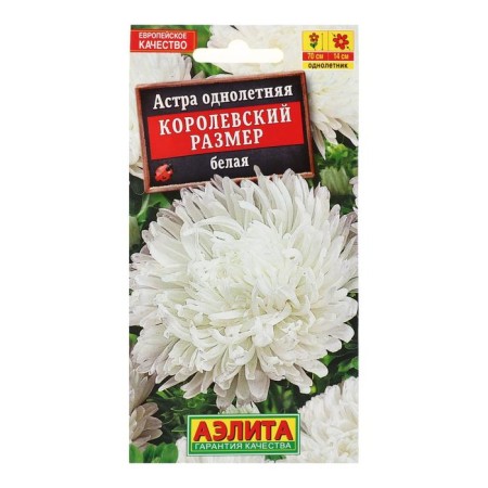 Seeds of Flowers Astra "Royal Size" white, o, 0.1 g-2
