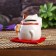Souvenir Cot Pigger Ceramics "Maneki-Neko with a fish on the pillow" 6.5x7.5x6.3 cm