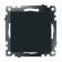 1-clavy switch (mechanism) 250V, 10A, Stekker series Catherine, GLS10-7103-05, black