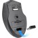 The mouse Defender Accura MM-665, wireless, optical, 1600 dpi, 2xaaa (not in compl), beige.