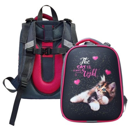 School backpack 38 x 30 x 16 cm, ergonomic back, stavia "cat is always right", gray