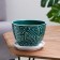 Pot floral abstraction green 1.65 liters