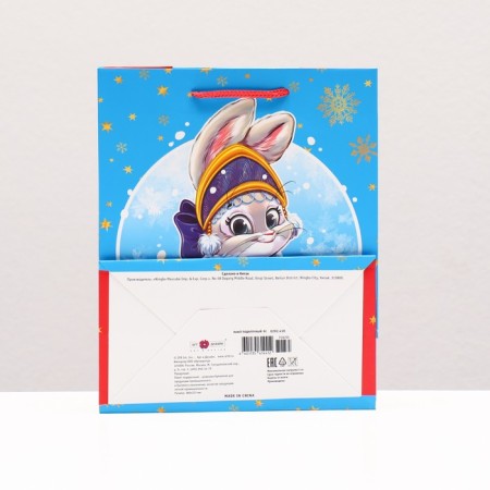 Gift package "Bunny Snow Maiden", 18 x 22.3 x 10 cm-1