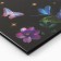 School Diary 1-4 class, in a solid cover, 48 liters "September 1: butterflies"
