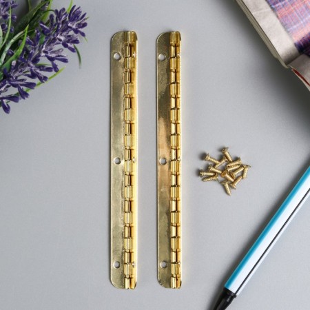 Loop card led by caskets Metal opening angle of 180 degrees + nails. 10x1.5 cm-2