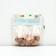 Gladiolus large-flowered "Mr. Sandman", rr 8/10, 7 pcs,