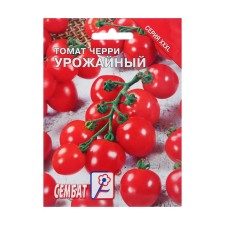 XXXL seeds Tomat Cherry 