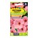 Flowers of Petunia "Pink Pen", O, CP, 0.1 g