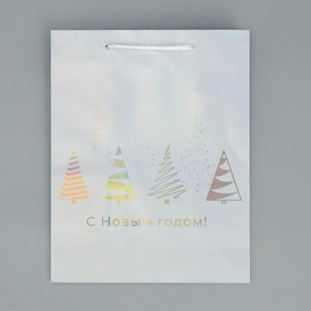 Holographic package "Fairytale Forest", 18 x 23 x 10 cm, New Year-6