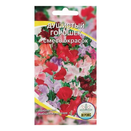 Flower seeds annual fragrant peas 10 pcs