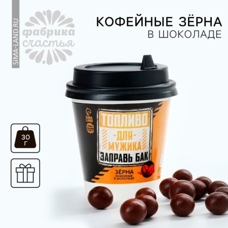 Coffee grains in chocolate "Fuel for a man", 30 g.