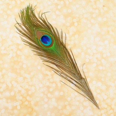 A set of peacock feathers for decor 2 pcs.-8
